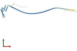Protein Structure (PS) image for IQ Motif Containing D (IQCD) (AA 1-449) protein (His tag) (ABIN7548603)