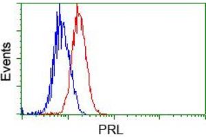 Flow cytometric analysis of Jurkat cells, using anti-PRL antibody (ABIN2453519), (Red) compared to a nonspecific negative control antibody (TA50011) (Blue). (Prolactin 抗体)