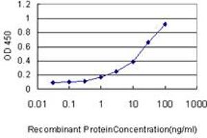 Detection limit for recombinant GST tagged DC-UbP is approximately 0. (UBTD2 抗体  (AA 1-190))