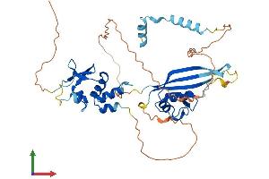 Protein Structure (PS) image for Potassium Channel Tetramerisation Domain Containing 16 (KCTD16) (AA 1-427) protein (His tag) (ABIN7557433)