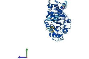 AlphaFold protein structure predicition of Human Recombinant GNA14 Protein, UniprotID O95837
