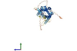 Protein Structure (PS) image for Cholecystokinin A Receptor (CCKAR) (AA 1-428) protein (His tag) (ABIN7553150)