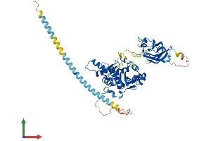 Protein Structure (PS) image for Mannosyl (Alpha-1,3-)-Glycoprotein beta-1,4-N-Acetylglucosaminyltransferase, Isozyme B (MGAT4B) (AA 1-548) protein (His tag) (ABIN7554554)