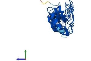 Protein Structure (PS) image for Proteasome (Prosome, Macropain) 26S Subunit, Non-ATPase, 10 (PSMD10) (AA 1-231) protein (His tag) (ABIN7565304)