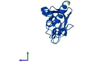 Protein Structure (PS) image for Ubiquitin-Conjugating Enzyme E2A (ube2a) (AA 1-152) protein (His tag) (ABIN7544916)