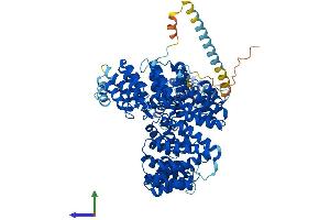 Protein Structure (PS) image for N(alpha)-Acetyltransferase 15, NatA Auxiliary Subunit (NAA15) (AA 1-866) protein (His tag) (ABIN7554660)