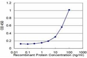 Detection limit for recombinant GST tagged KLK10 is approximately 1ng/ml as a capture antibody. (Kallikrein 10 抗体  (AA 167-276))