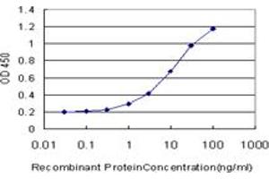 ELISA image for anti-Cell Cycle Checkpoint Protein RAD1 (RAD1) (AA 1-90) antibody (ABIN598565) (RAD1 抗体  (AA 1-90))