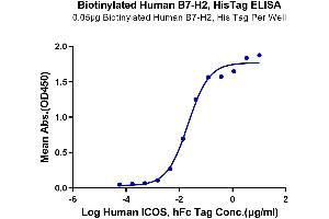 ELISA image for Inducible T-Cell Co-Stimulator Ligand (ICOSLG) (AA 19-258) protein (His-Avi Tag,Biotin) (ABIN7273968)