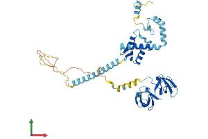 Protein Structure (PS) image for KIN, Antigenic Determinant of RecA Protein Homolog (KIN) (AA 1-391) protein (His tag) (ABIN7559530)