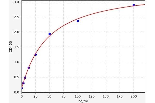 MASP2 ELISA 试剂盒