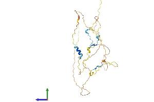 Protein Structure (PS) image for CDC42 Effector Protein (Rho GTPase Binding) 4 (CDC42EP4) (AA 1-356) protein (His tag) (ABIN7552742)