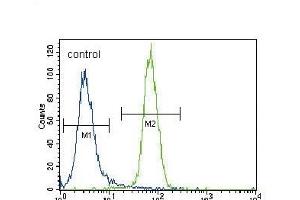 RUNX2 Antibody  (ABIN392133 and ABIN2841871) flow cytometric analysis of NCI- cells (right histogram) compared to a negative control cell (left histogram). (RUNX2 抗体  (AA 445-474))