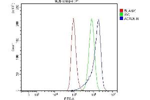 Flow Cytometry analysis of A549 cells using anti-ACAD9 antibody (ABIN7602670).