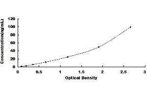 Typical standard curve (Fetuin A ELISA 试剂盒)