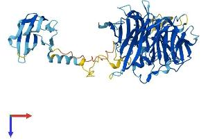 AlphaFold protein structure predicition of Mouse Recombinant Nudcd1 Protein, UniprotID Q6PIP5