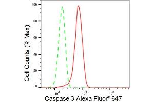Flow cytometric analysis of Caspase 3 expression in HT- cells using Caspase 3 antibody (ABIN7797893), 1:2,000). (Recombinant Caspase 3 抗体)