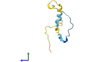 Protein Structure (PS) image for CDC42 Small Effector 1 (CDC42SE1) (AA 1-79) protein (Fc Tag) (ABIN7552856)