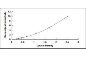 Typical standard curve (MATN2 ELISA 试剂盒)