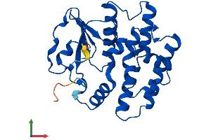 Protein Structure (PS) image for Glutathione S-Transferase omega 2 (GSTO2) (AA 1-248) protein (His tag) (ABIN7559516)