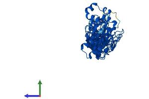 Protein Structure (PS) image for Ankyrin Repeat and SOCS Box Containing 4 (ASB4) (AA 1-426) protein (His tag) (ABIN7556303)