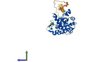 Protein Structure (PS) image for Heparan Sulfate (Glucosamine) 3-O-Sulfotransferase 6 (HS3ST6) (AA 1-342) protein (His tag) (ABIN7557455)