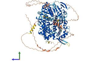 Protein Structure (PS) image for DNA Helicase HEL308 (HEL308) (AA 1-1101) protein (His tag) (ABIN7554083)