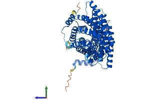 Protein Structure (PS) image for Amyloid beta Precursor Protein (Cytoplasmic Tail) Binding Protein 2 (APPBP2) (AA 1-585) protein (His tag) (ABIN7561248)