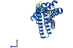 AlphaFold protein structure predicition of Human Recombinant AQP11 Protein, UniprotID Q8NBQ7 (AQP11 Protein (AA 1-271) (His tag))