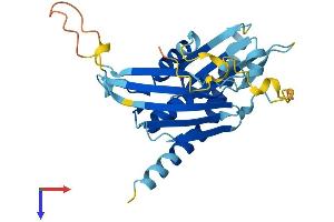 EXOSC6 Protein (AA 1-272) (His tag)