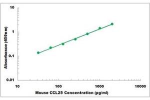 Representative Standard Curve (CCL25 ELISA 试剂盒)