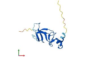 Protein Structure (PS) image for Cysteine-Rich, DPF Motif Domain Containing 1 (CDPF1) (AA 1-123) protein (His tag) (ABIN7553340)