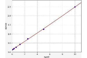 MAPKAP Kinase 2 ELISA 试剂盒