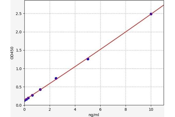 MAPKAP Kinase 2 ELISA 试剂盒