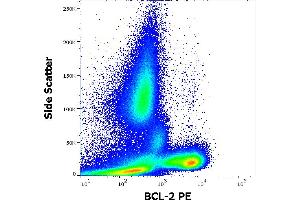 Flow cytometry intracellular staining pattern of human peripheral whole blood from diffuse large B-cell lymphoma (DLBCL) patient. (Bcl-2 抗体  (AA 41-54) (PE))