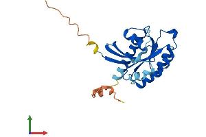 Protein Structure (PS) image for RAB3A, Member RAS Oncogene Family (RAB3A) (AA 1-220) protein (His tag) (ABIN7556633)