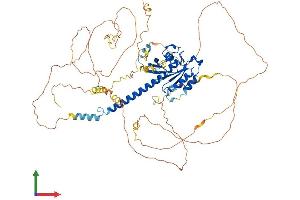 Protein Structure (PS) image for Chromosome 9 Open Reading Frame 86 (C9orf86) (AA 1-729) protein (His tag) (ABIN7551158)