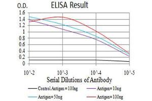 Black line: Control Antigen (100 ng), Purple line: Antigen(10 ng), Blue line: Antigen (50 ng), Red line: Antigen (100 ng), (RAB8A 抗体  (AA 68-207))