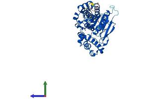 AlphaFold protein structure predicition of Mouse Recombinant Abhd1 Protein, UniprotID Q9QZC8