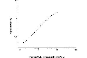 Typical standard curve (COL7 ELISA 试剂盒)