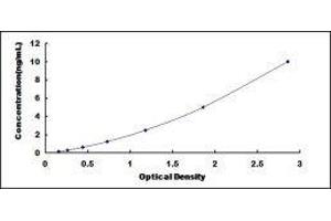 Promyelocytic Leukemia (PML) ELISA Kit