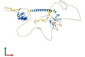 AlphaFold protein structure predicition of Mouse Recombinant E2f3 Protein, UniprotID O35261 (E2F3 Protein (AA 1-457) (His tag))