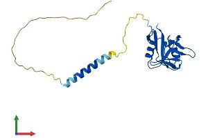 Protein Structure (PS) image for CD69 (CD69) (AA 1-199) protein (His tag) (ABIN7553157)