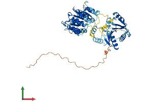 Protein Structure (PS) image for DEAD (Asp-Glu-Ala-Asp) Box Polypeptide 25 (DDX25) (AA 1-483) protein (His tag) (ABIN7547035)