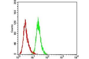 Flow cytometric analysis of A431 cells using PMS2 mouse mAb (green) and negative control (red).