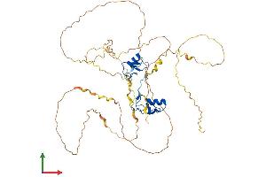 AlphaFold protein structure predicition of Mouse Recombinant Gata2 Protein, UniprotID O09100 (GATA2 Protein (AA 1-480) (His tag))