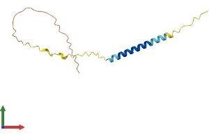 AlphaFold protein structure predicition of Human Recombinant BEX3 Protein, UniprotID Q00994
