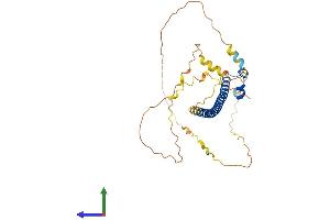Protein Structure (PS) image for Transcription Factor MafB (MAFB) (AA 1-323) protein (His tag) (ABIN7549173)