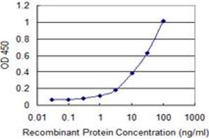Detection limit for recombinant GST tagged ADAMTS1 is 0. (ADAMTS1 抗体  (AA 858-967))