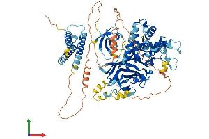 AlphaFold protein structure predicition of Human Recombinant NPHP1 Protein, UniprotID O15259
